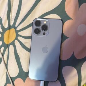 Apple iPhone 13 Pro Sleek Silver